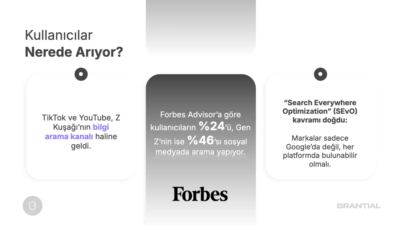 Üç kart: TikTok ve YouTube, Forbes Advisor verisi, Search Everywhere Optimization.
