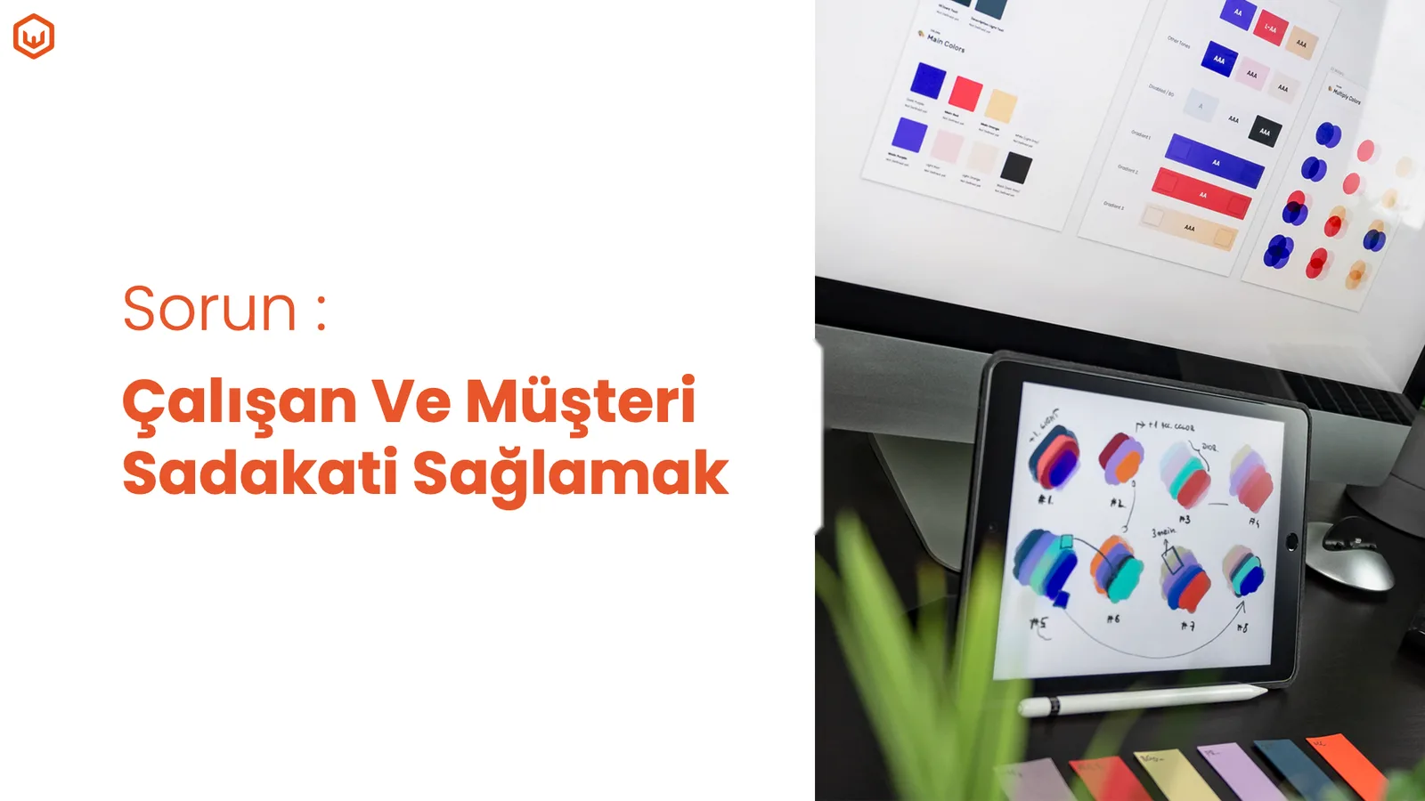 Tasarım ekranı fotoğrafı; sorun başlığı.