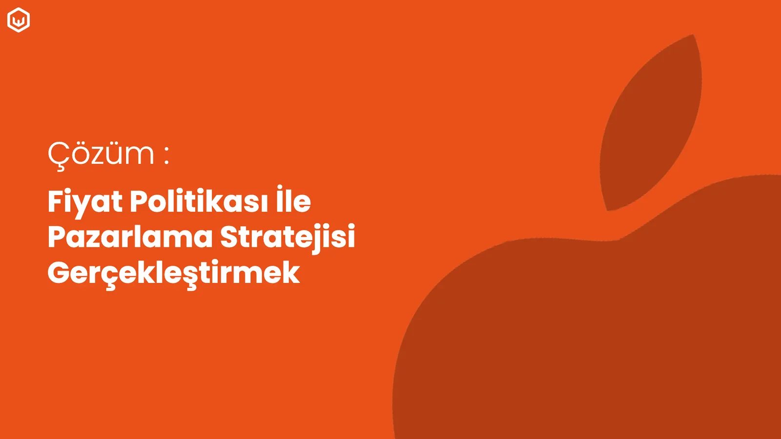 Apple logosu silueti; çözüm başlığı.